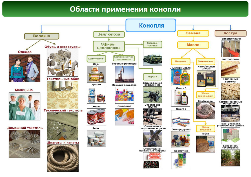 Иллюстрация предоставлена Агропромышленной ассоциацией коноплеводов России